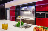 Ryme Intrinseca kitchen extensions